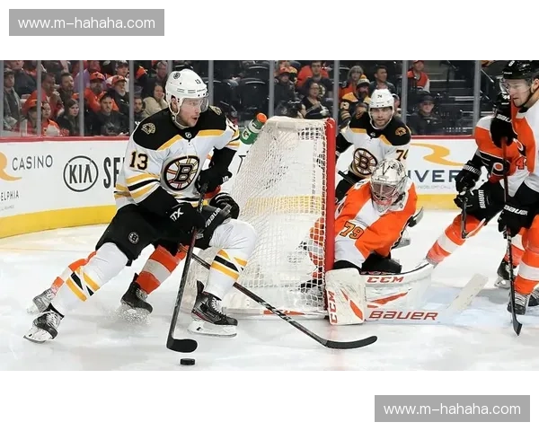 数据NHL：用数据点亮冰场，开启全新观赛与训练体验